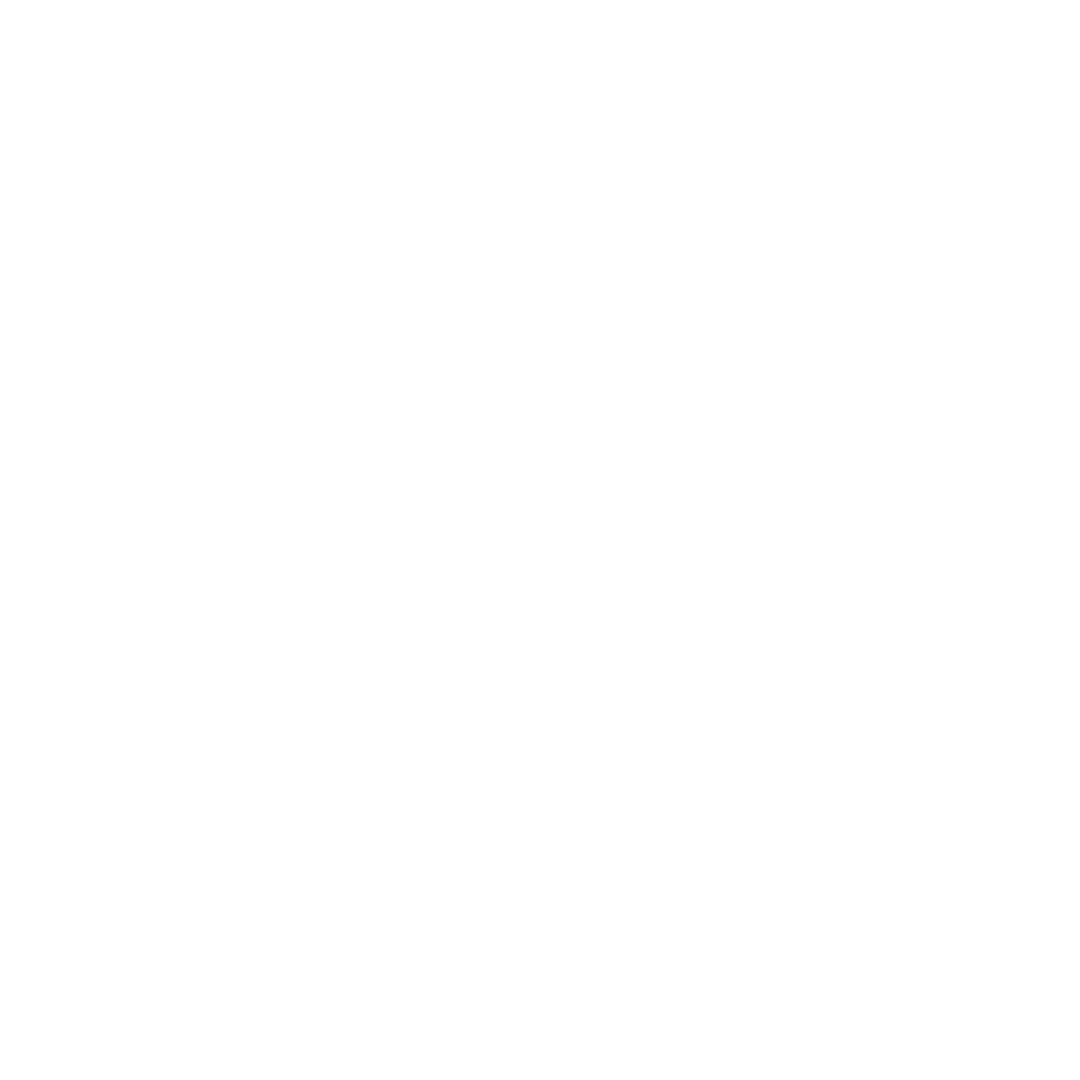 Integrity icon