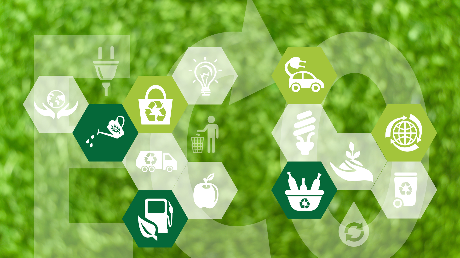 Sustainability Commitment