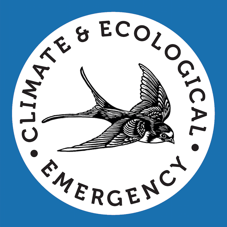 Culture Declares Emergency logo